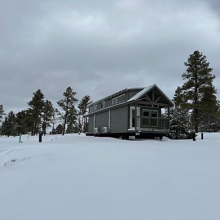 Cozy Cabin By Forest View 4B Williams Buitenkant foto